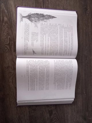 El libro de los 101 cuentos, editorial Anaya