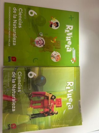 Libro Ciencias de las Naturalezas 6 Primaria SM