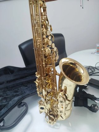 Saxofón Alto Dorado Casi Nuevo