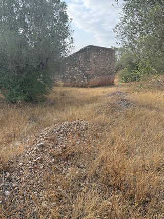 Finca rústica