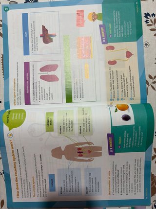 NATURAL & SOCIAL SCIENCE 6 PRIMARY STUDENT'S BO...
