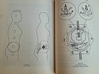 Los Chakras: Las Ruedas de la Energía Vital. YOGA