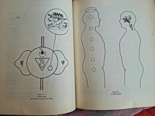 Los Chakras: Las Ruedas de la Energía Vital. YOGA