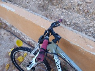Bicicleta Montaña