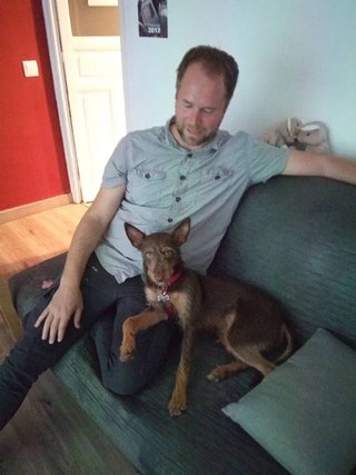 Cuidador de perros en Puig-reig reseñas 5★