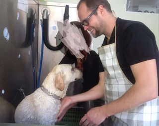 Cuidador de perros en Puig-reig reseñas 5★