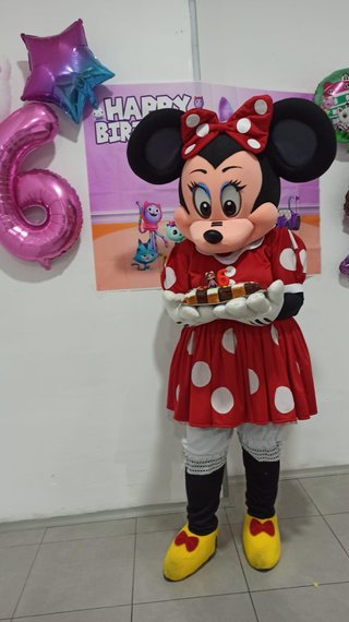 DISFRACES CABEZONES MICKEY MARIO PATRULLA CANINA