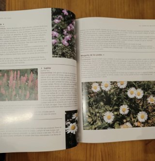 Libro jardineria