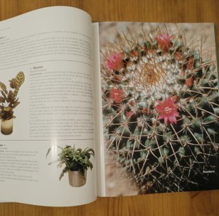 Libro jardineria
