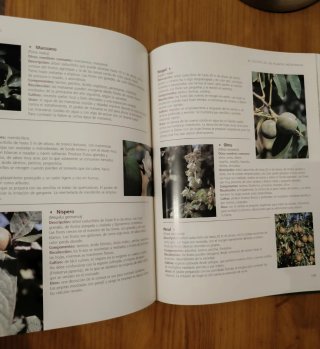 Libro jardineria