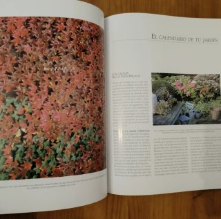 Libro jardineria