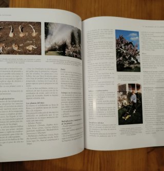 Libro jardineria