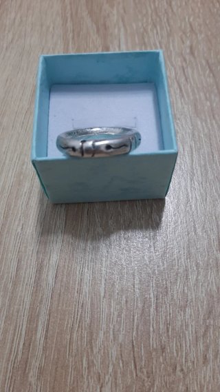 Anillo Plata Ley Diseño Serpiente