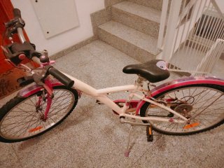 Bicicleta Paseo/Montaña