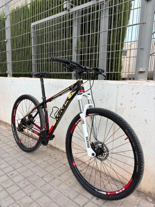 Bicicleta de Montaña