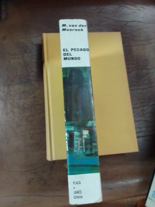 El pecado del mundo