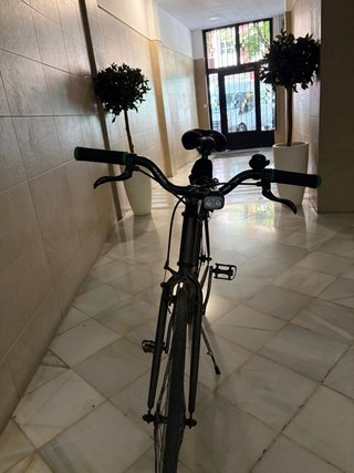 Bicicleta Fixie con Frenos