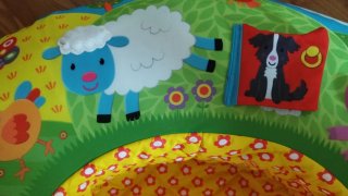 Aro inflable para bebés GALT juguete texturas