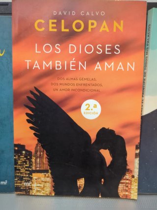 El patito que nunca llegó a ser cisne