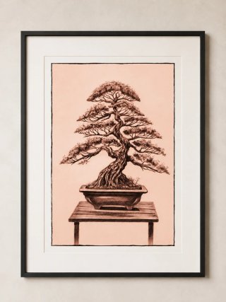 Lámina Bonsái Árbol Dibujo