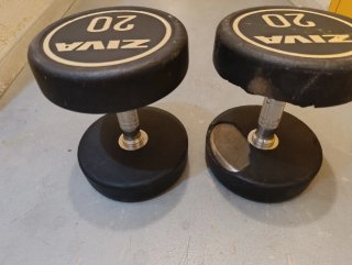 2 Mancuernas ZIVA 20kg