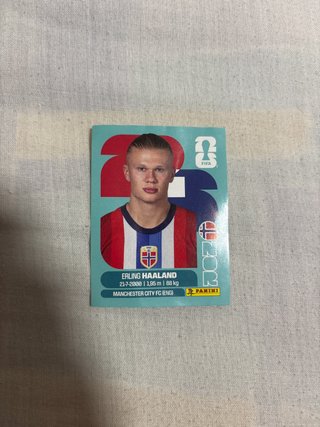 Carta Haaland Mundial Panini
