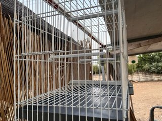 Jaulas 60cm para canarios, periquitos