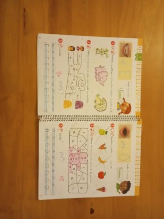 Lectoescritura 1o primaria