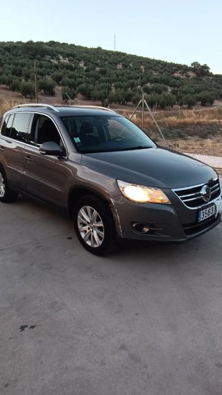 Volkswagen Tiguan 2010