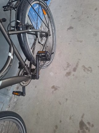 Bicicleta de paseo