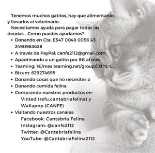 Llaveros de gatos Kawaii