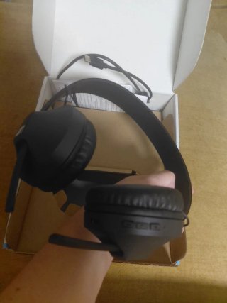 Auriculares Sennheiser HD 250BT Wireless