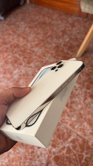 iPhone 12 Pro Plata/Blanco