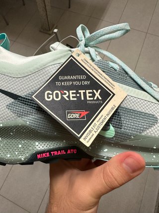 Nike Pegasus Trail 5 GORE-TEX