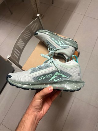 Nike Pegasus Trail 5 GORE-TEX