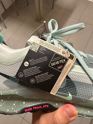 Nike Pegasus Trail 5 GORE-TEX