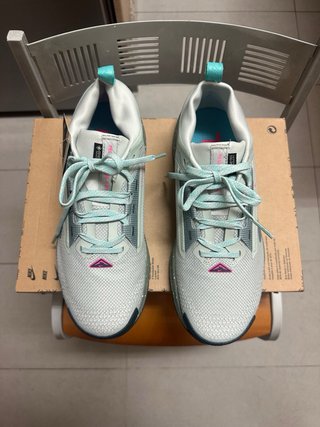 Nike Pegasus Trail 5 GORE-TEX