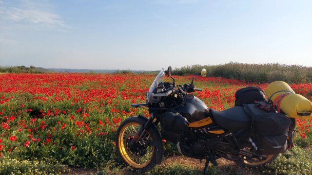 Royal Enfield Himalayan 450 Tubeless Negra/Dorada