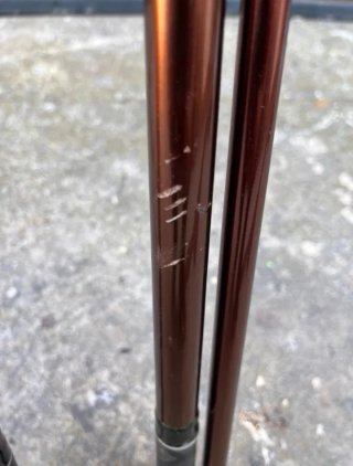 Cañas de Carpfishing