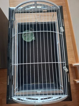Jaula para conejo