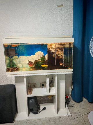 Acuario pecera cristal