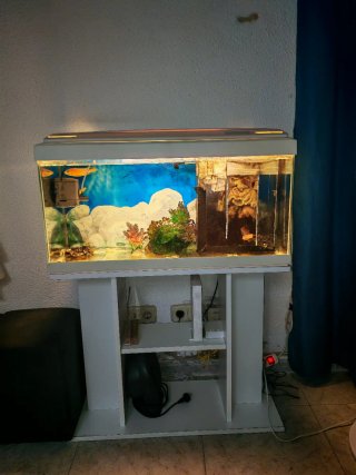 Acuario pecera cristal