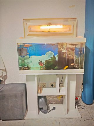 Acuario pecera cristal
