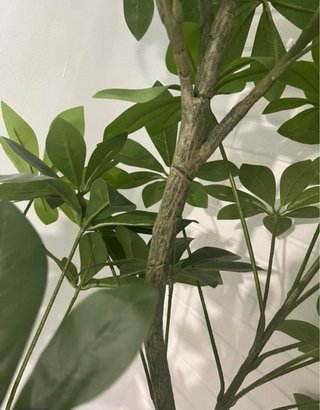 Planta artificial decorativa