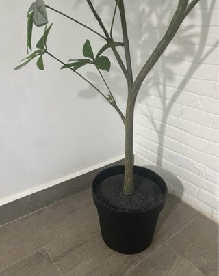 Planta artificial decorativa