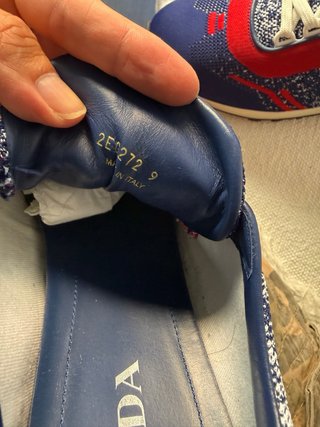 Zapatillas Prada Azul y Rojo