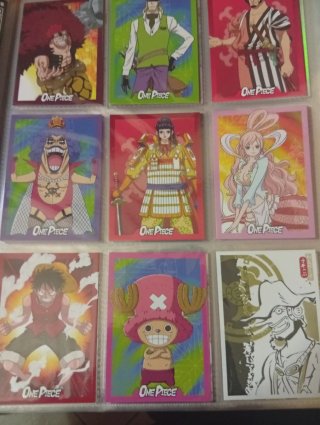 Raccoglitore carte One Piece