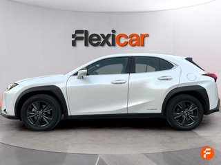 Lexus UX 2.0 250h Business