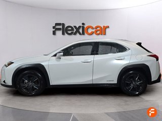 Lexus UX 2.0 250h Business