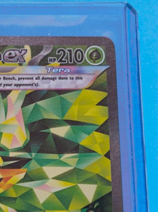 TWM 211 Teal Mask Ogerpon ex(SIR) NM ING TwilightM